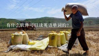 有什么软件可以读英语单词的？