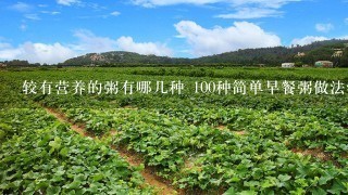 较有营养的粥有哪几种 100种简单早餐粥做法学习