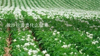 做沙拉需要什么蔬菜