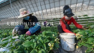 大棚膜15丝13米宽多少钱一斤