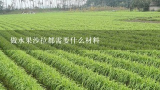 做水果沙拉都需要什么材料