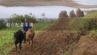 超市配菜菜谱