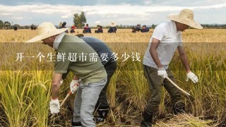 开一个生鲜超市需要多少钱