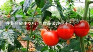 莲花白能生吃吗?能做蔬菜沙拉不？