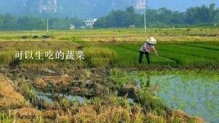 可以生吃的蔬菜