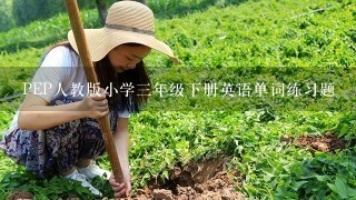 PEP人教版小学三年级下册英语单词练习题