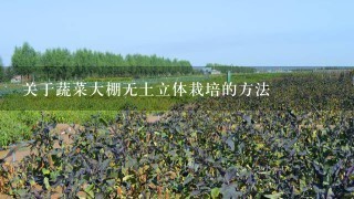 关于蔬菜大棚无土立体栽培的方法