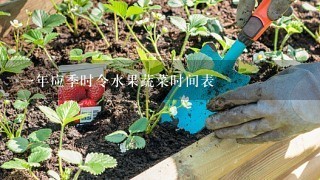 一年应季时令水果蔬菜时间表