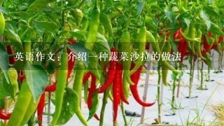 英语作文：介绍一种蔬菜沙拉的做法