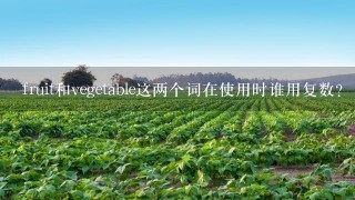 fruit和vegetable这两个词在使用时谁用复数?