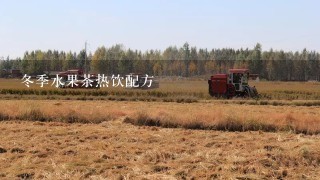 冬季水果茶热饮配方