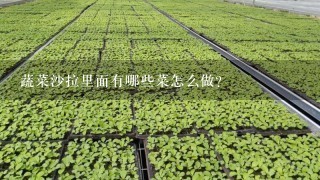 蔬菜沙拉里面有哪些菜怎么做？