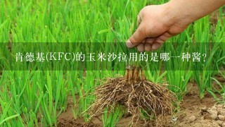 肯德基(KFC)的玉米沙拉用的是哪一种酱?