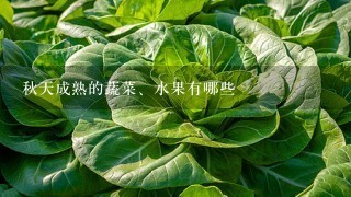 秋天成熟的蔬菜、水果有哪些