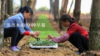 蒸出来的100种早餐