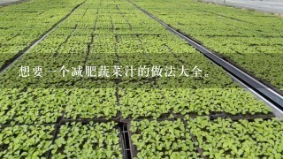 想要一个减肥蔬菜汁的做法大全。