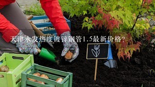 天津永发热度镀锌钢管<br/>1、5最新价格？