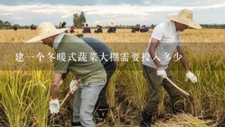 建一个冬暖式蔬菜大棚需要投入多少