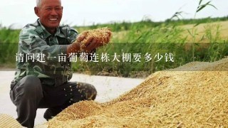 请问建一亩葡萄连栋大棚要多少钱