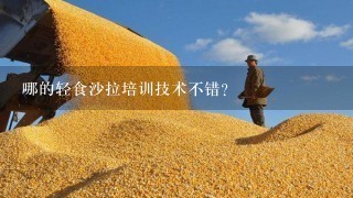 哪的轻食沙拉培训技术不错？