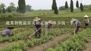 蔬菜智能温室大棚造价？多少钱一平方