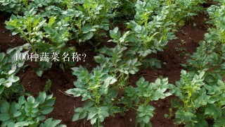 100种蔬菜名称？