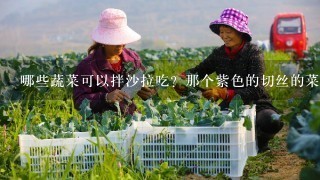 哪些蔬菜可以拌沙拉吃？那个紫色的切丝的菜叫什么名字？