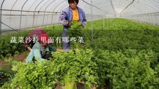 蔬菜沙拉里面有哪些菜