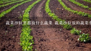 蔬菜沙拉里都放什么蔬菜 蔬菜沙拉放的蔬菜有哪些