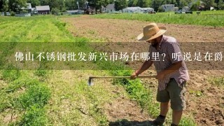 佛山不锈钢批发新兴市场在哪里？听说是在爵顿工业园