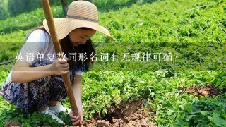 英语单复数同形名词有无规律可循？