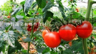 沙拉蔬菜有哪些食材