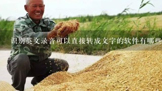 识别英文录音可以直接转成文字的软件有哪些呢？