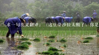 求一句英文翻译：（这豆芽沙拉太酸了，你是否可以用水浇一下，味道淡点再给我。...）