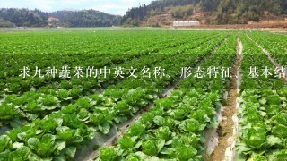 求九种蔬菜的中英文名称、形态特征、基本结构、食用部位