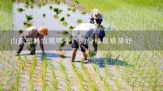 山东塑料农膜哪个厂的价格低质量好