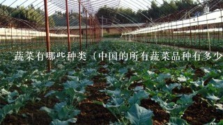 蔬菜有哪些种类（中国的所有蔬菜品种有多少种）