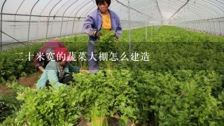 二十米宽的蔬菜大棚怎么建造