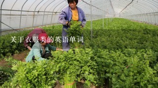 关于衣服类的英语单词