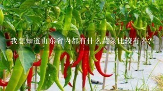 我想知道山东省内都有什么蔬菜比较有名?