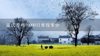 温氏养鸡10000只要投多少