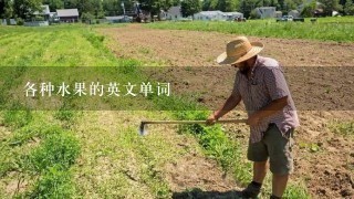 各种水果的英文单词