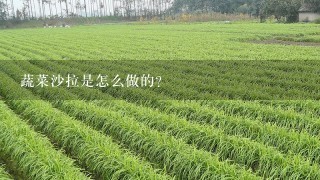 蔬菜沙拉是怎么做的？