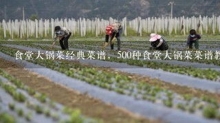 食堂大锅菜经典菜谱，500种食堂大锅菜菜谱教程