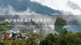 河津哪里有蔬菜秧苗批发的？