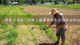 外研社英语三年级上册要求学生会写单词和句子吗