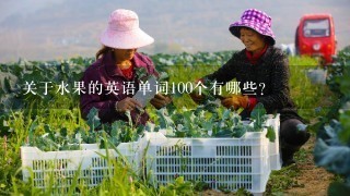 关于水果的英语单词100个有哪些？