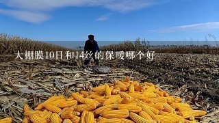 大棚膜10日和14丝的保暖哪个好