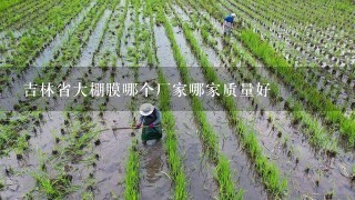 吉林省大棚膜哪个厂家哪家质量好