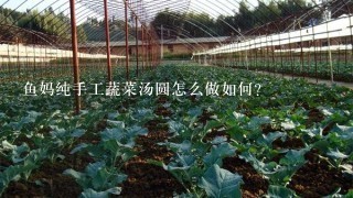 鱼妈纯手工蔬菜汤圆怎么做如何？